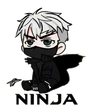 Ninja